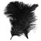 Natural Black Ostrich Feathers 12–14" (50 Pack) for Wedding & Party Décor